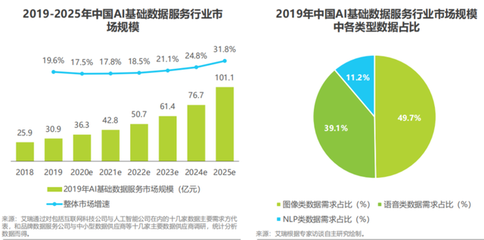 新基建熱潮下，AI基礎數據服務的變革與展望——解讀2020年中國行業發展現狀與趨勢